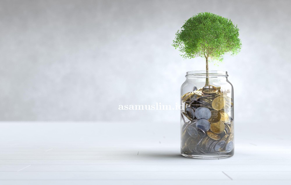 tree-grows-coin-glass-jar-with-copy-space.jpg