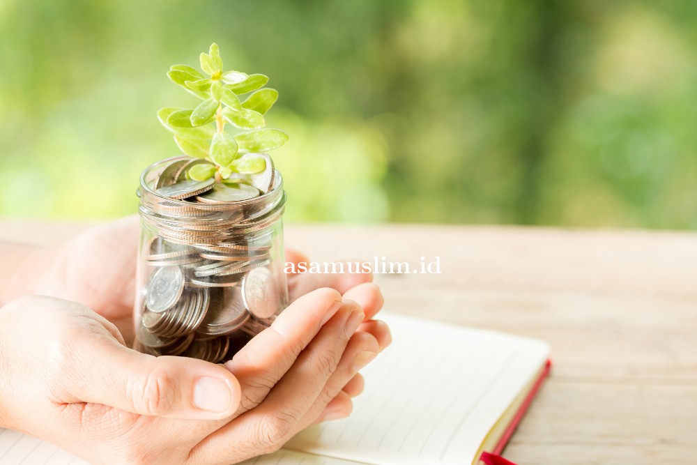 woman-hand-holding-plant-growing-from-coins-bottle.jpg